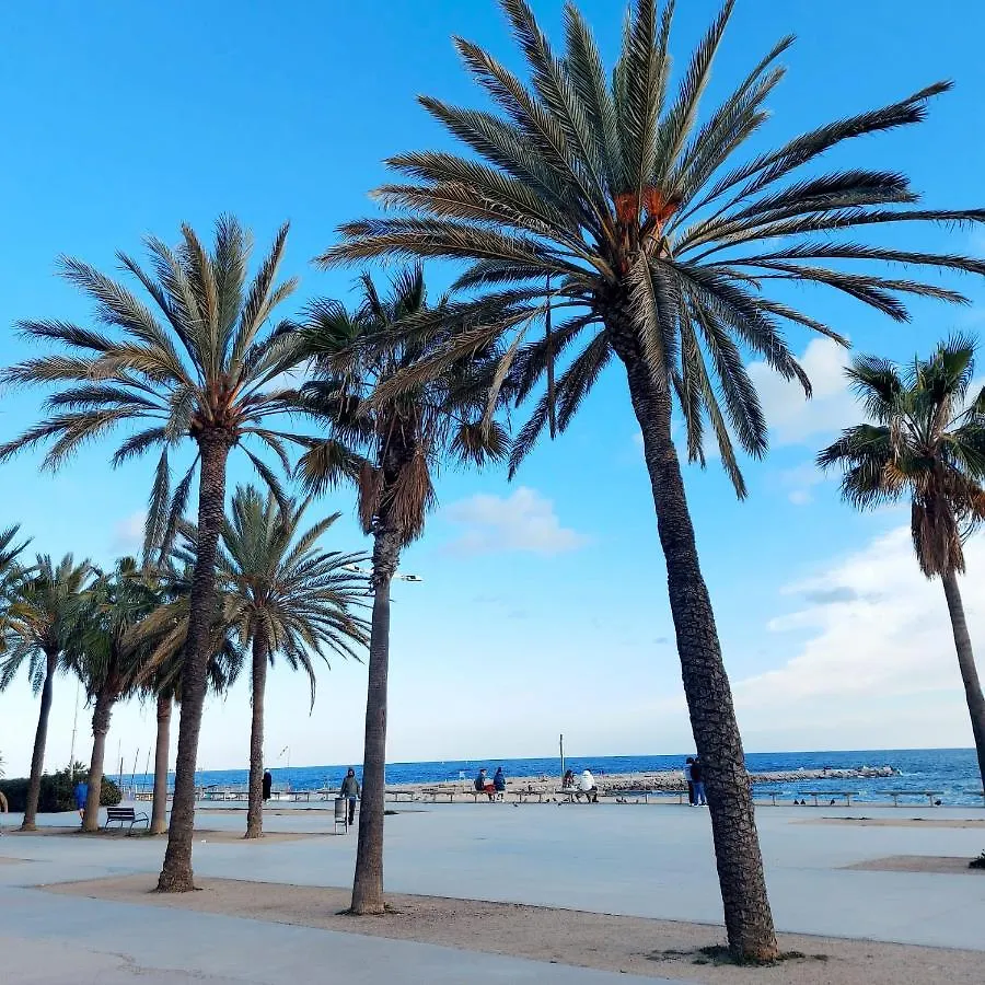 Apartment Confort Apartamentos En Playa, 3 Drm Barcelona Spain